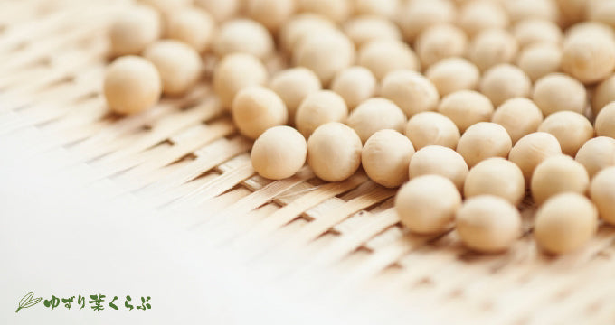 節分特集 ~大豆~