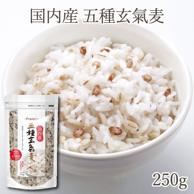 国内産 五種玄氣麦 250g