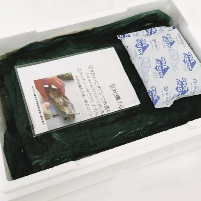 熊本県上天草産 岩牡蠣 殻付き・生食可