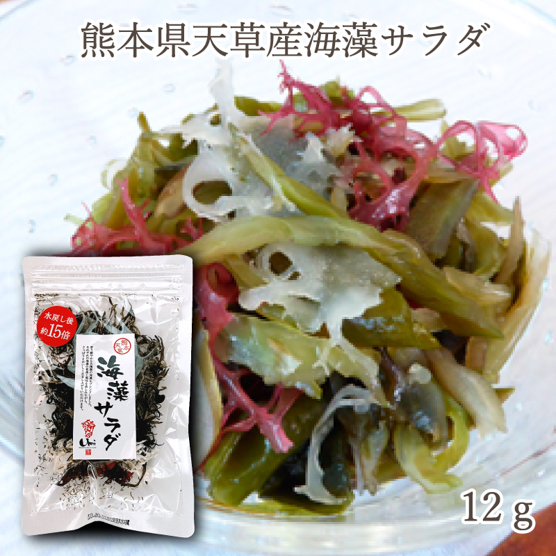 熊本県天草産海藻サラダ