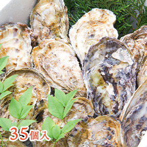 【熊本県上天草産】真牡蠣（殻付き 生食可）35個入