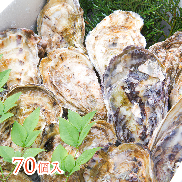 【熊本県上天草産】真牡蠣（殻付き 生食可）70個入